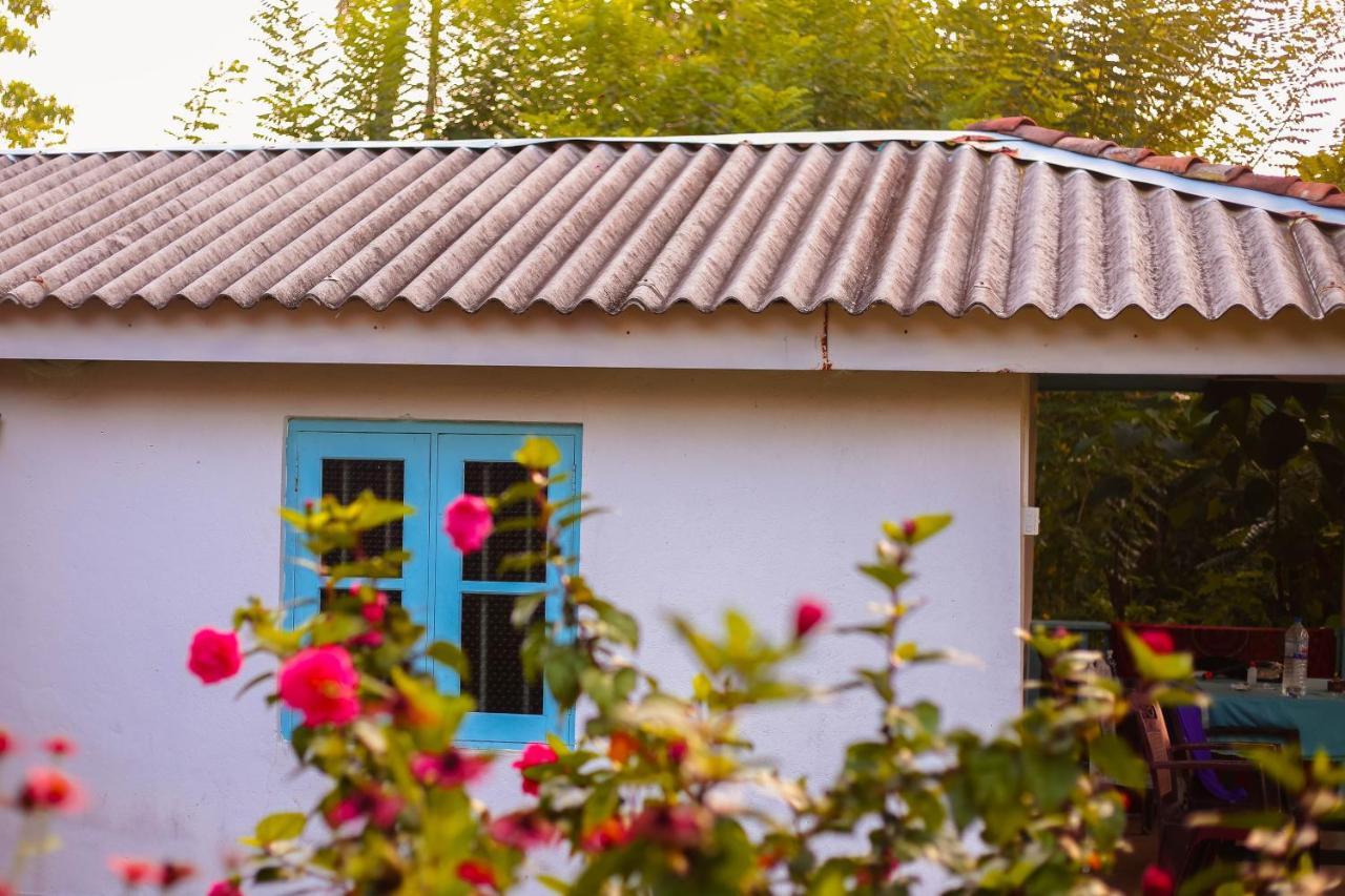 Tehan Homestay ディックウェラ エクステリア 写真