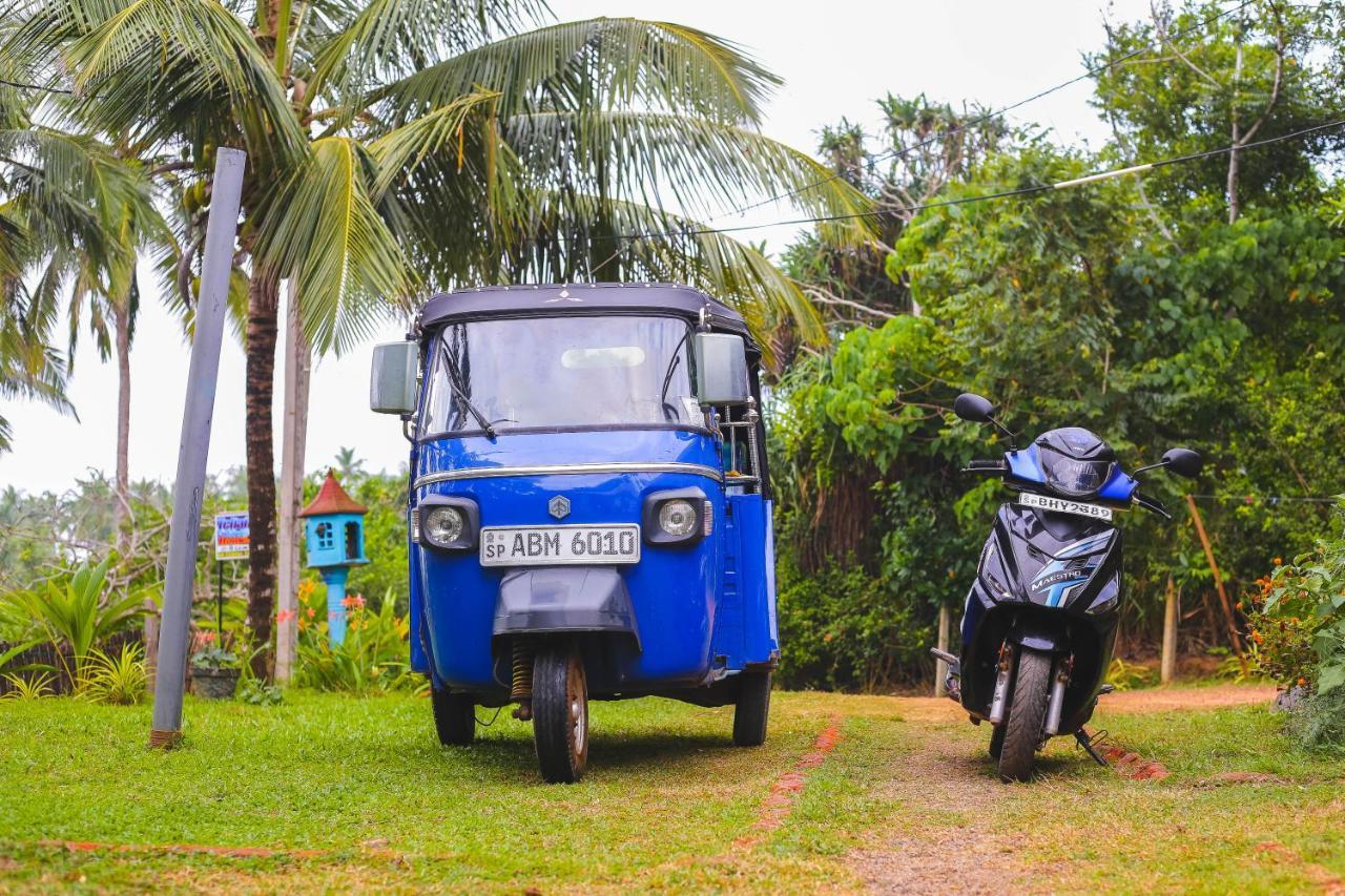 Tehan Homestay ディックウェラ エクステリア 写真