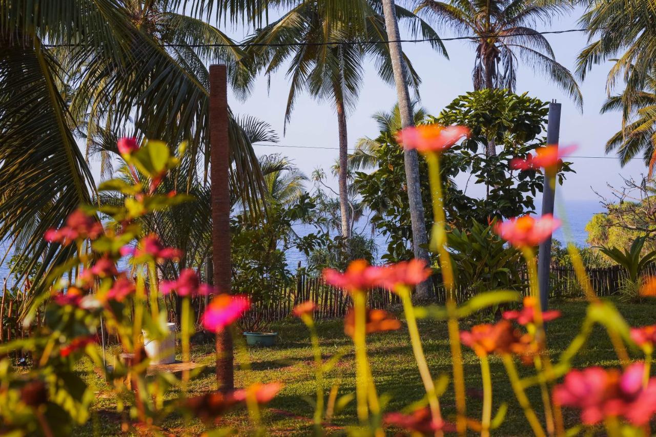 Tehan Homestay ディックウェラ エクステリア 写真