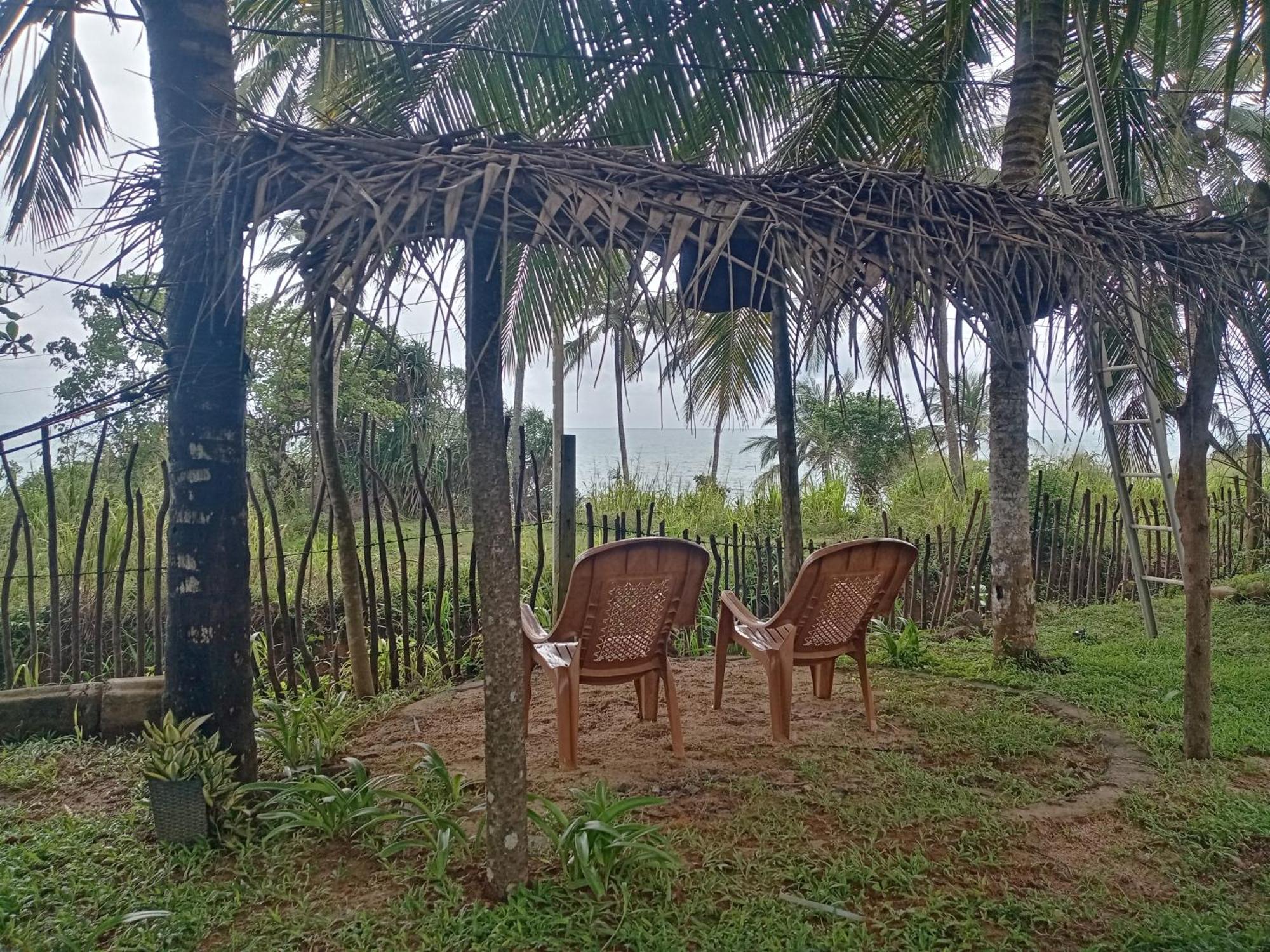 Tehan Homestay ディックウェラ エクステリア 写真